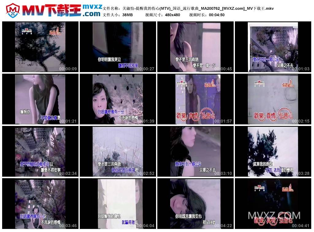 关淑怡-提醒我的伤心(MTV)_国语_流行歌曲_MA200762